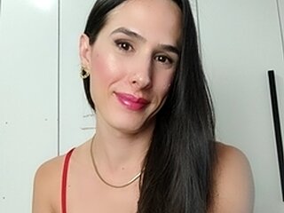 Transluxxx Webcam Preview