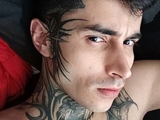 Dart Webcam Preview