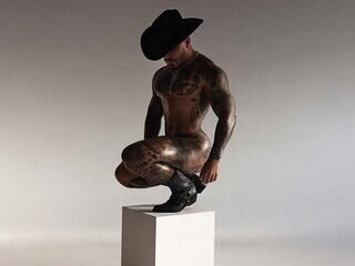 Aaron Vega Webcam Preview