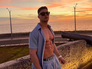 Alan Vidal Webcam Preview