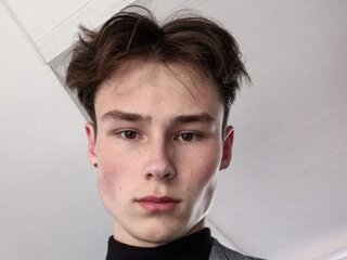 NicoTheo Webcam Preview