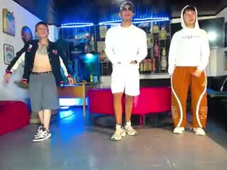 flyckers Webcam Preview